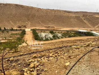 مزرعة للبيع في شارع بدون اسم, حي سلام, مدينة امارة منطقة الرياض - الجبيله, منطقة الرياض صورة 2