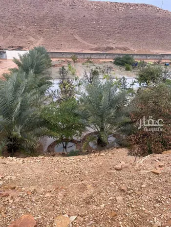 مزرعة للبيع في شارع بدون اسم, حي سلام, مدينة امارة منطقة الرياض - الجبيله, منطقة الرياض صورة 3