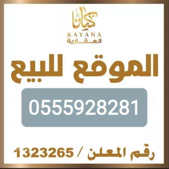 أرض للبيع في شارع قاسم زينل ، حي الروضة ، جدة ، جدة