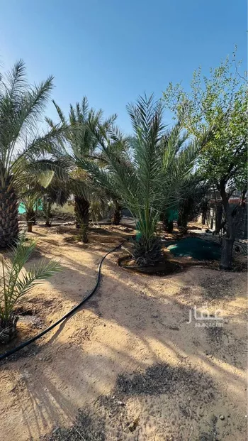 مزرعة للبيع في شارع العريفيه 130 ، بريدة ، بريدة