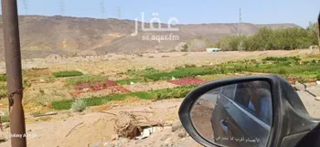 مزرعة للبيع في شارع آمنة بنت سعد بن وهب ، عسفان ، الجموم