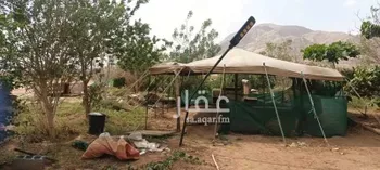مزرعة للبيع في عسفان ، الجموم