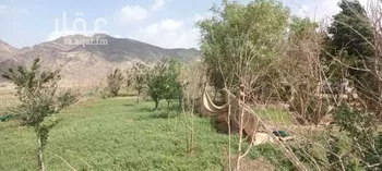 مزرعة للبيع في عسفان ، الجموم صورة 2