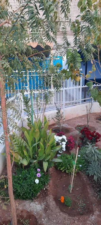 شاليه واستراحة للحجز في شارع العينة ، حي القدس ، عرعر ، منطقة الحدود الشمالية صورة 3