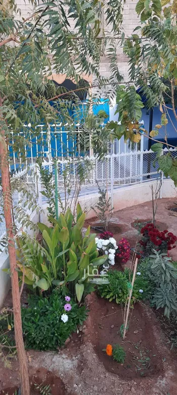 شاليه واستراحة للحجز في شارع العينة ، حي القدس ، عرعر ، منطقة الحدود الشمالية صورة 5