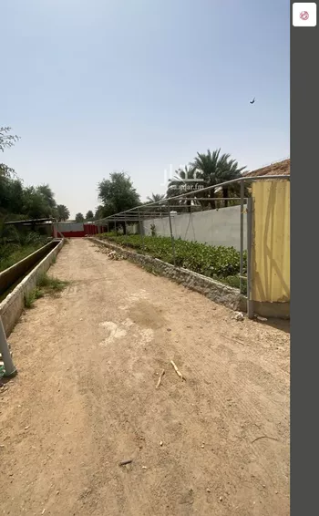 مزرعة للبيع في شارع 5399, حي عريض, مدينة الرياض, منطقة الرياض صورة 3
