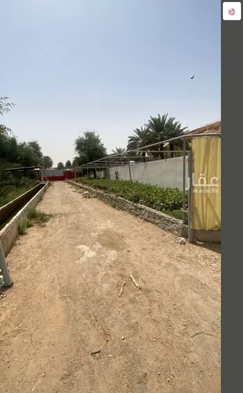 مزرعة للبيع في شارع 5399, حي عريض, مدينة الرياض, منطقة الرياض صورة 5