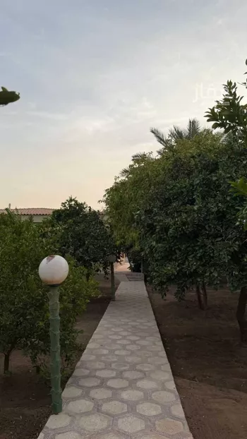 مزرعة للبيع في شارع ابن الأصبح, حي الريان, مدينة عنيزه, منطقة القصيم صورة 4