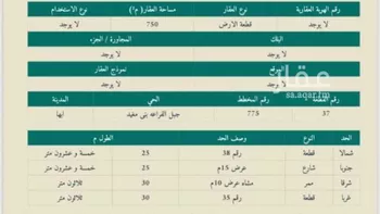 أرض للبيع في شارع السقا 2503, حي ال مفرح, مدينة ال مفرح, منطقة عسير صورة 2