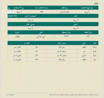 أرض للبيع في حي البوادي, مدينة امارة منطقة مكة المكرمة - الطائف, منطقة مكة المكرمة