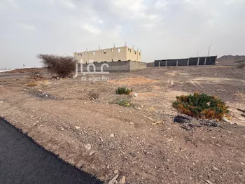 أرض للبيع في شارع الصهلوج 115, حي أبو مرخة, مدينة المدينه المنوره, منطقة المدينة المنورة صورة 4