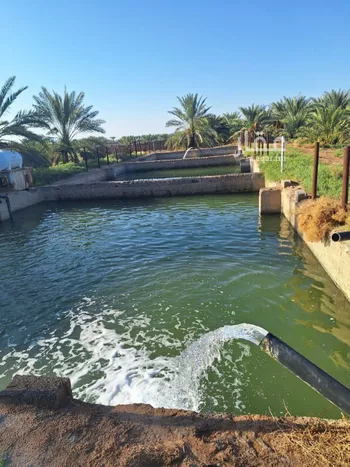مزرعة للبيع في حي المليليح, مدينة المدينه المنوره, منطقة المدينة المنورة صورة 2
