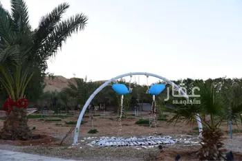 مزرعة للبيع في شارع الكوخ, حي البديع الشرقى, مدينة ضرما, منطقة الرياض صورة 3