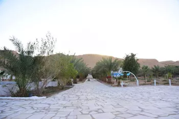 مزرعة للبيع في شارع الكوخ, حي البديع الشرقى, مدينة ضرما, منطقة الرياض صورة 4