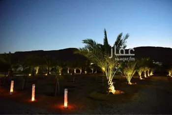 مزرعة للبيع في شارع الكوخ, حي البديع الشرقى, مدينة ضرما, منطقة الرياض صورة 5