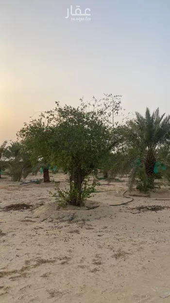 مزرعة للبيع في شارع طريق الكويت القديم, مدينة الجبيل, المنطقة الشرقية صورة 4