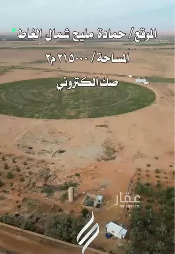 مزرعة للبيع في حي مزارع حمادة مليح الشماليه, مدينة مزارع حمادة مليح الشماليه, منطقة الرياض صورة 3
