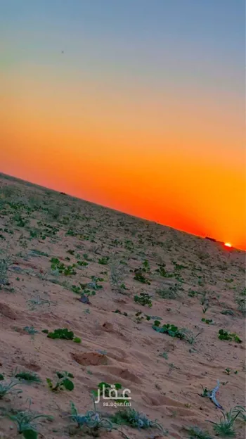 مزرعة للبيع في المملكة العربية السعودية