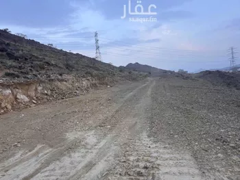 أرض للبيع في شارع الرئيس, حي المروة, مدينة ابها, منطقة عسير صورة 3