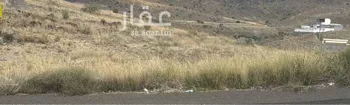 أرض للبيع في شارع الفرعي, حي المروة, مدينة ابها, منطقة عسير صورة 2