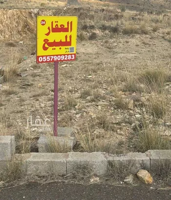 أرض للبيع في شارع الفرعي, حي المروة, مدينة ابها, منطقة عسير صورة 3
