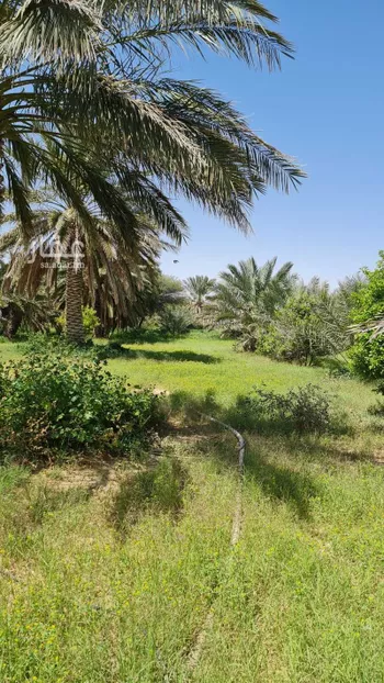 مزرعة للبيع في طريق الملك عبدالعزيز ، الدوادمي ، الدوادمي صورة 2
