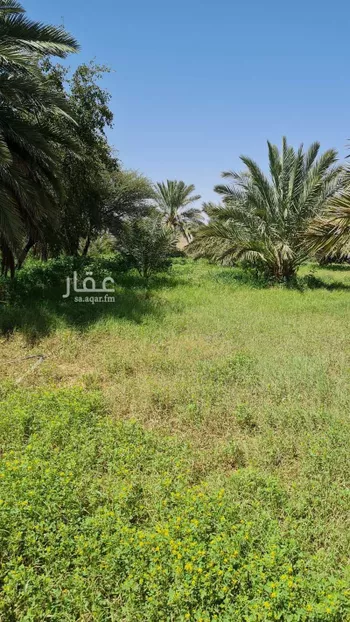 مزرعة للبيع في طريق الملك عبدالعزيز ، الدوادمي ، الدوادمي صورة 5