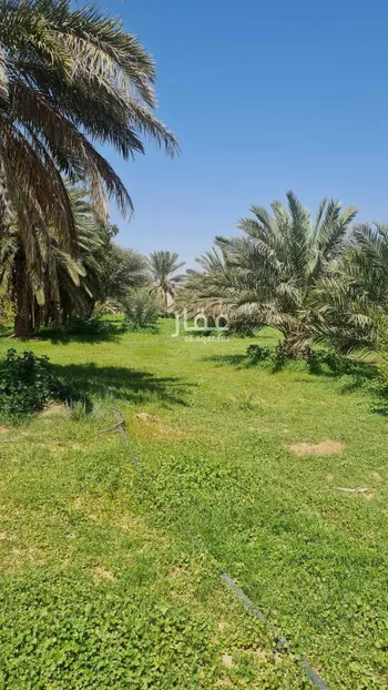 مزرعة للبيع في طريق الملك عبدالعزيز ، الدوادمي ، الدوادمي صورة 3