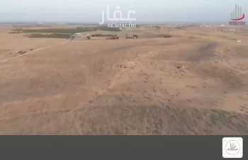 مزرعة للبيع في شارع المملكة العربية السعودية, حي البساتين, مدينة البكيريه, منطقة القصيم صورة 2