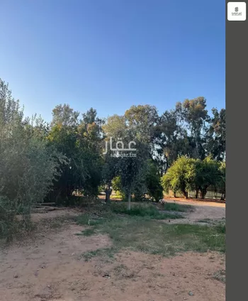أرض للبيع في شارع حلية ابن جنادة ابن سويد الخزاعي, حي الفردوس, مدينة تبوك, منطقة تبوك صورة 3