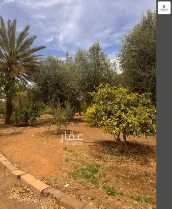 أرض للبيع في شارع حلية ابن جنادة ابن سويد الخزاعي, حي الفردوس, مدينة تبوك, منطقة تبوك صورة 5