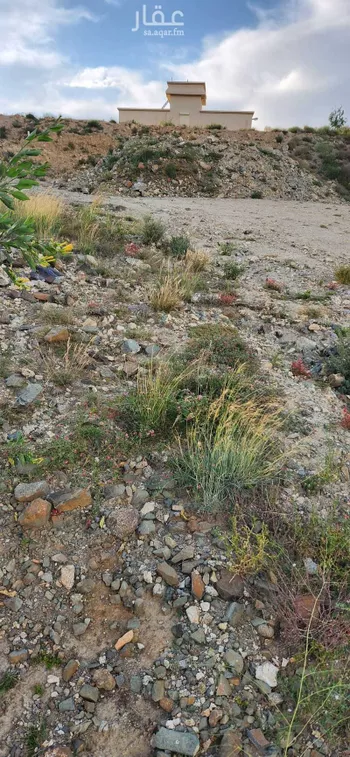 أرض للبيع في شارع 16479777, حي الفيحاء, مدينة ال مرزوق, منطقة الباحة صورة 3