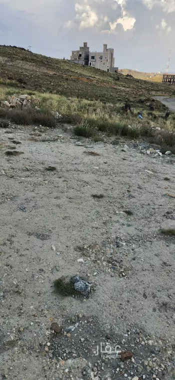 أرض للبيع في شارع 16479777, حي الفيحاء, مدينة ال مرزوق, منطقة الباحة صورة 5