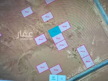 أرض للإيجار في شارع الجامعة 468 ، شقراء ، شقراء صورة 3