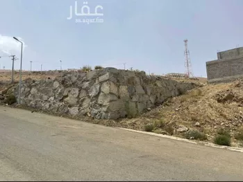 أرض للبيع في شارع 8248125, حي الكوثر, مدينة الغران, منطقة الباحة صورة 5