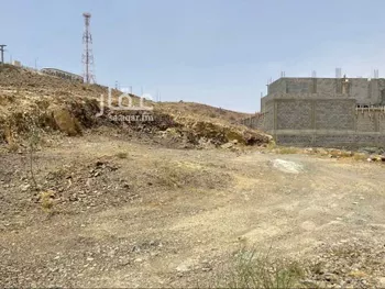أرض للبيع في شارع 8248125, حي الكوثر, مدينة الغران, منطقة الباحة صورة 3