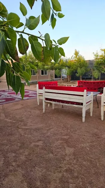 استراحة للبيع في شارع ابار الماشي 1367 ، المدينة المنورة ، منطقة المدينة المنورة صورة 4
