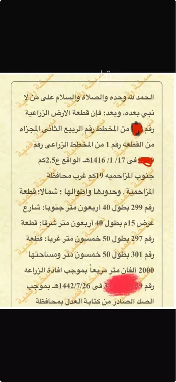 أرض للبيع في حي هجره الذيبيه وخضراء, مدينة هجره الذيبيه وخضراء, منطقة الرياض صورة 2