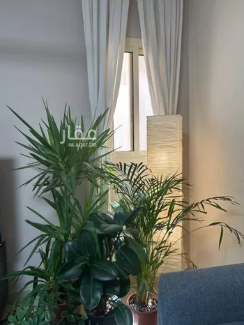 شقة للإيجار في شارع النفل, حي الياسمين, مدينة الرياض, منطقة الرياض صورة 3