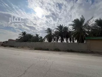 أرض للإيجار في حي أبو معن, مدينة القطيف, المنطقة الشرقية صورة 4