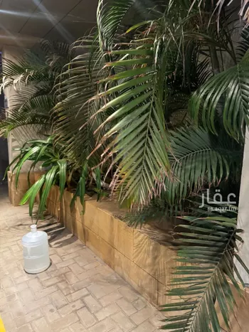 شقة للإيجار في شارع محمد الانكوري, حي السلامة, مدينة جدة, منطقة مكة المكرمة صورة 4