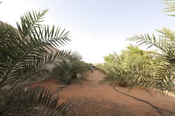 استراحة للبيع في حي الربيع, مدينة ضرما, منطقة الرياض صورة 4