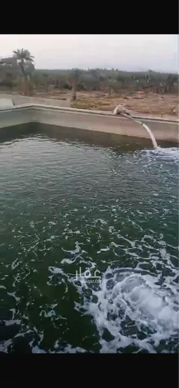 مزرعة للبيع في شارع شارع 40متر, حي المليليح, مدينة المدينه المنوره, منطقة المدينة المنورة صورة 3
