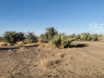 مزرعة للبيع في شارع لا يوجد, حي ابيار الماشي, مدينة المدينه المنوره, منطقة المدينة المنورة صورة 3
