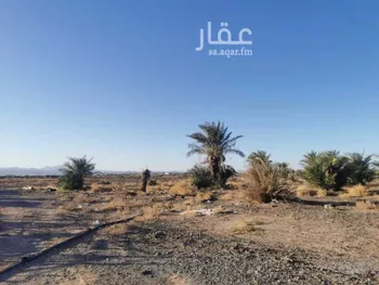 مزرعة للبيع في شارع لا يوجد, حي ابيار الماشي, مدينة المدينه المنوره, منطقة المدينة المنورة صورة 4