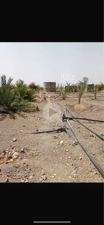 مزرعة للبيع في شارع الوادي, حي المليليح, مدينة المدينه المنوره, منطقة المدينة المنورة صورة 2