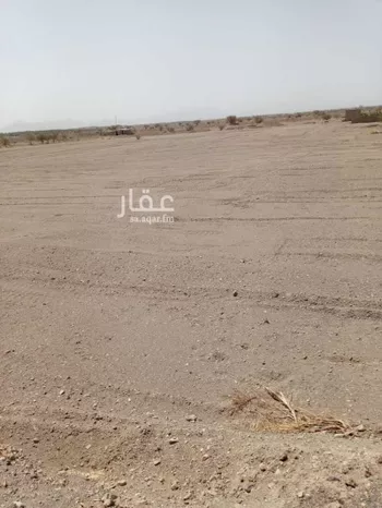 مزرعة للبيع في شارع الوادي, حي المليليح, مدينة المدينه المنوره, منطقة المدينة المنورة صورة 4