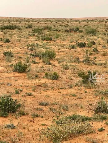 أرض للإيجار في شارع الامير نايف بن عبدالعزيز, حي اليمامة, مدينة ضرما, منطقة الرياض