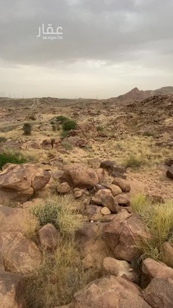 أرض للبيع في شارع 0000, حي الزهور, مدينة ابها, منطقة عسير