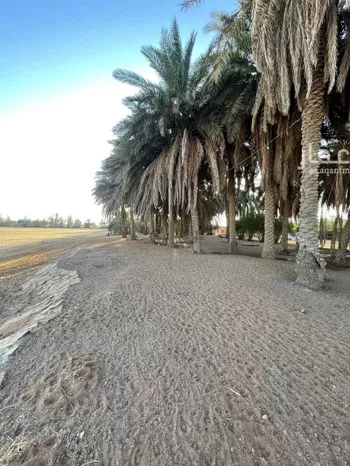 مزرعة للبيع في شارع الرئيسي, مدينة كمب الثنيان, منطقة حائل صورة 4